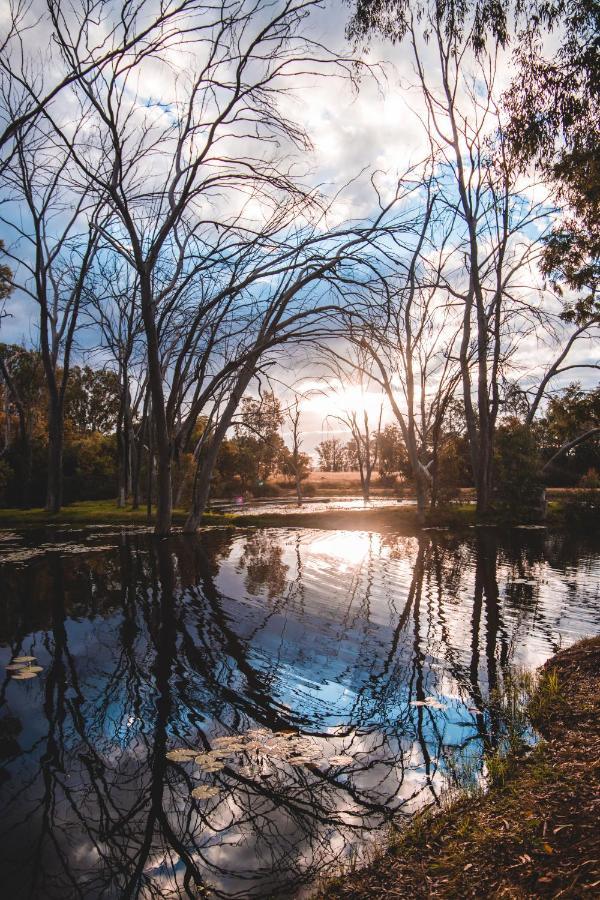 Bass Lake Country Lodge Pretoria-Noord Exteriér fotografie
